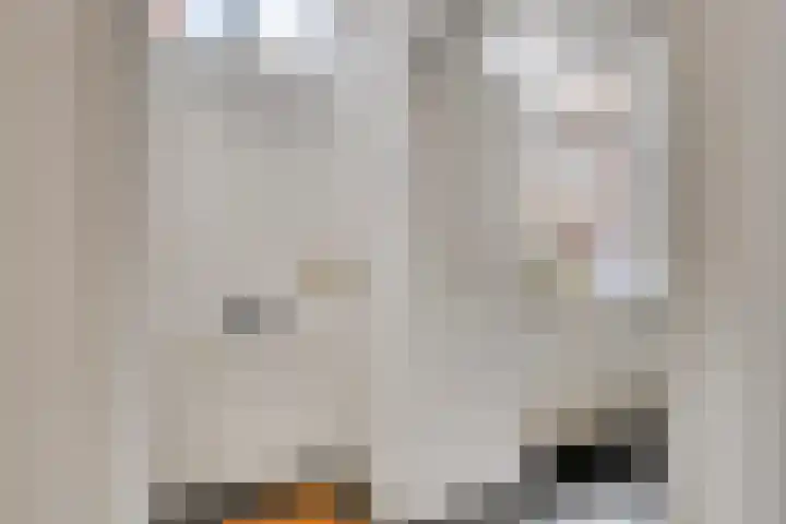 Hoogstraat 13 Heusden thumbnail 8
