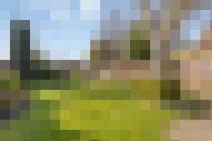Hoogstraat 14 Asten thumbnail 4