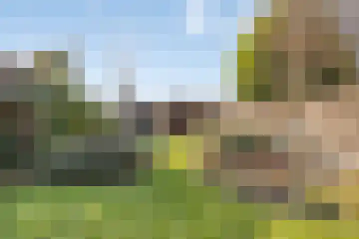 Hoogstraat 14 Asten thumbnail 5