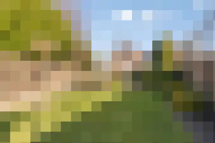 Hoogstraat 14 Asten thumbnail 8