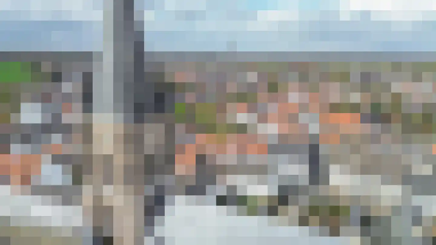 Hoogstraat 14 Thorn thumbnail 10