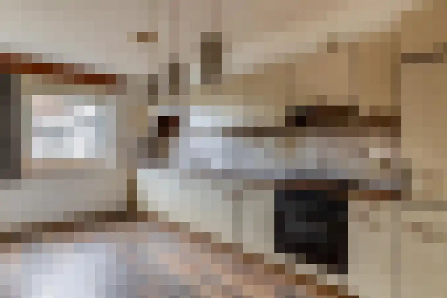 Hoogstraat 14 Thorn thumbnail 21
