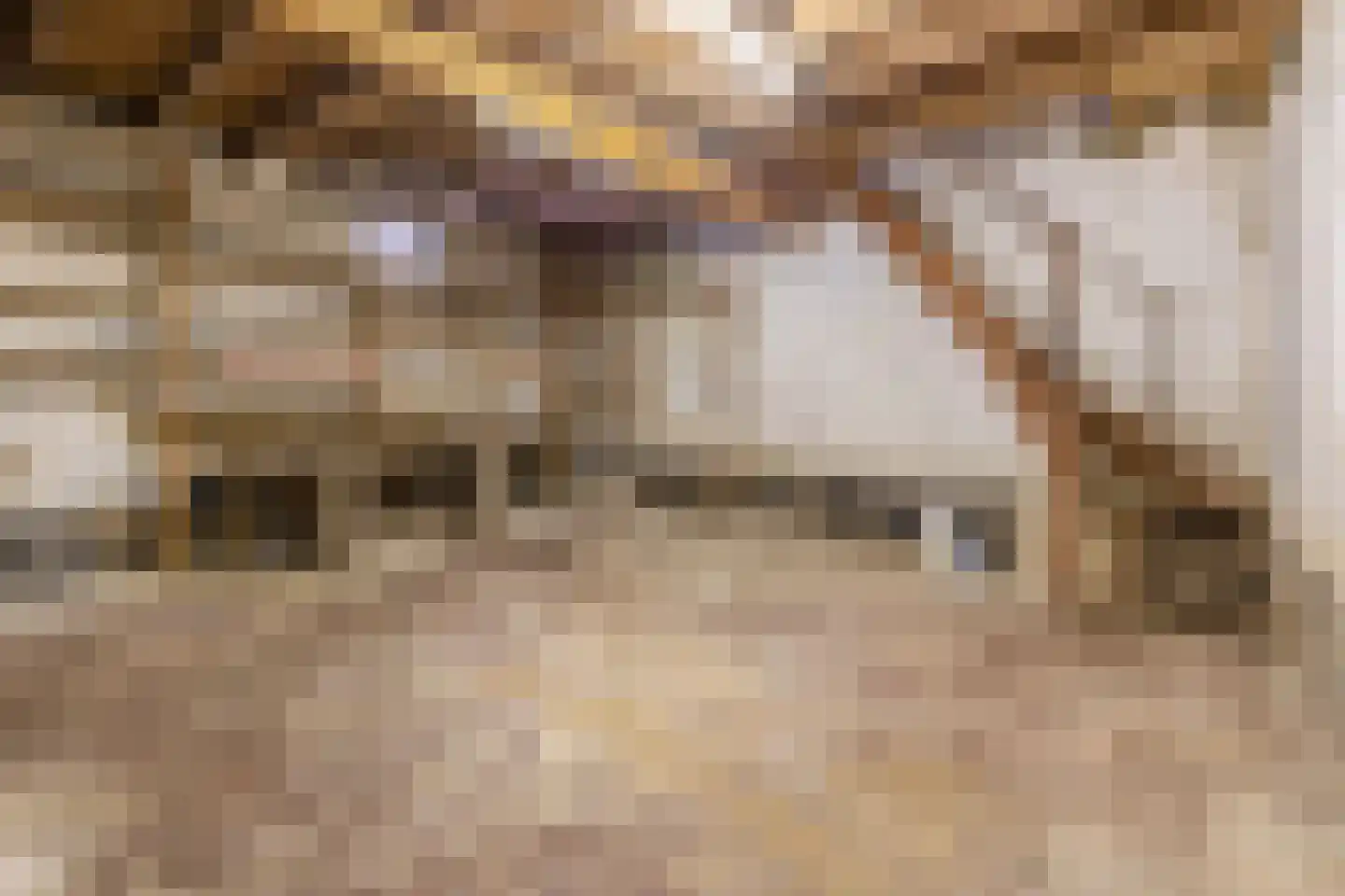 Hoogstraat 14 Thorn thumbnail 25