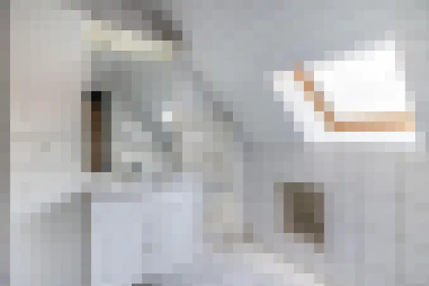 Hoogstraat 14 Thorn thumbnail 35