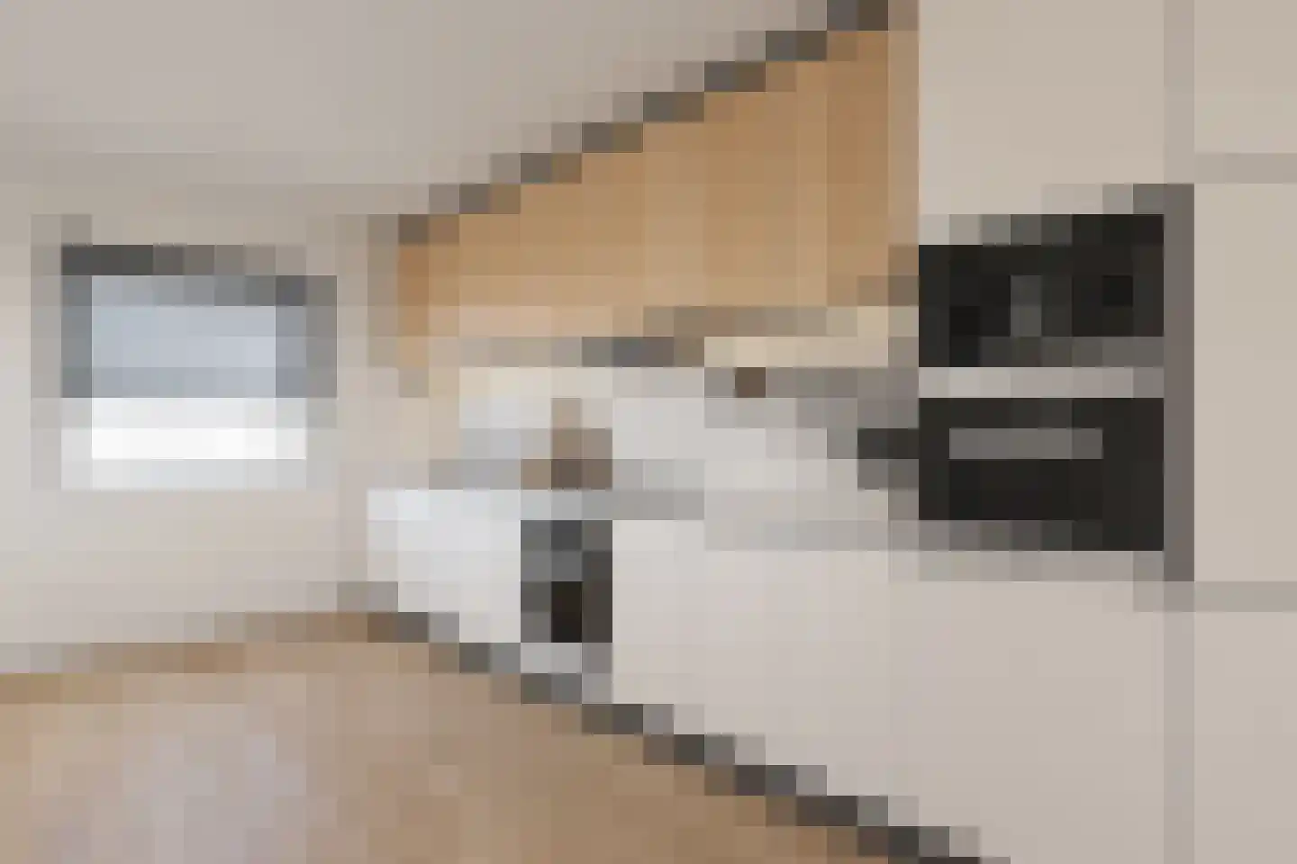 Hoogstraat 14 Thorn thumbnail 5