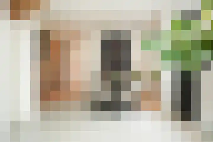 Hoogstraat 16 Veghel thumbnail 4