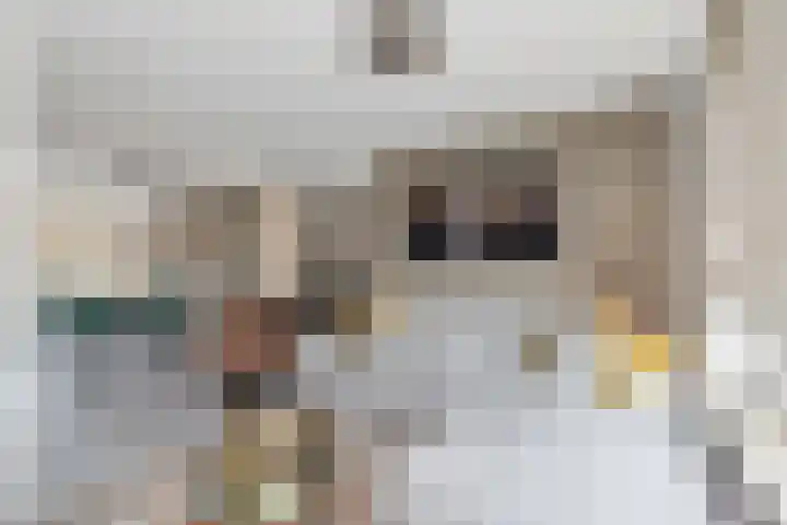 Hoogstraat 187 Eindhoven thumbnail 13
