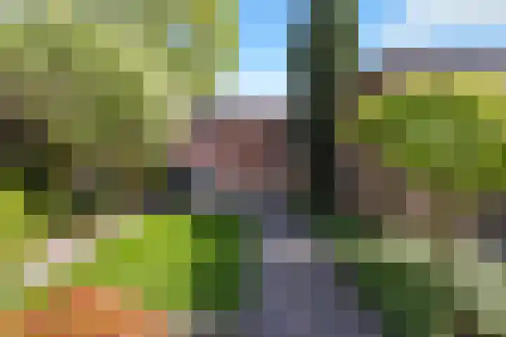 Hoogstraat 187 Eindhoven thumbnail 5