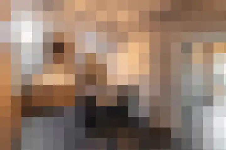 Hoogstraat 41 Echt thumbnail 14