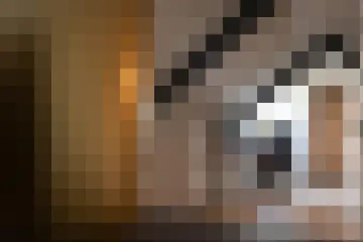 Hoogstraat 41 Echt thumbnail 55