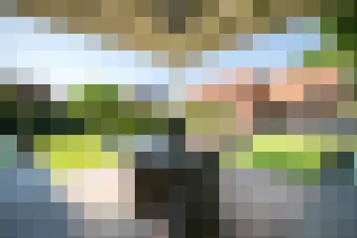 Hoogstraat 41 Echt thumbnail 67