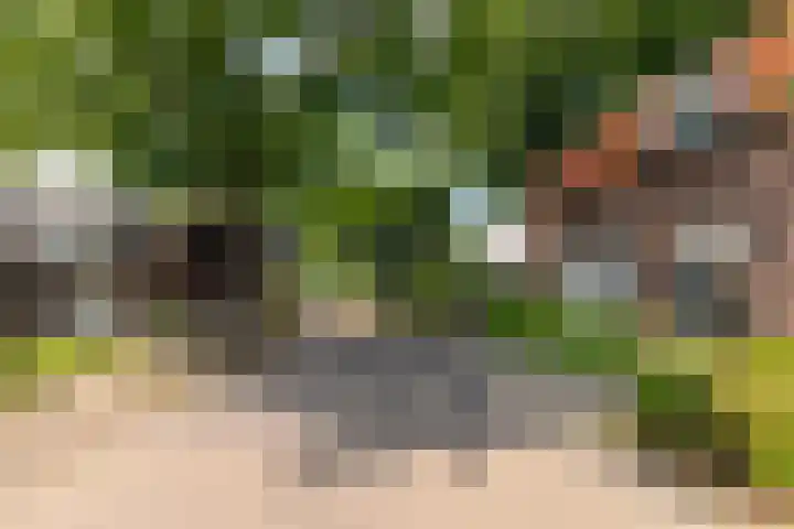Hoogstraat 41 Echt thumbnail 7