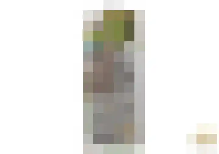 Hoogstraat 41 Echt thumbnail 82