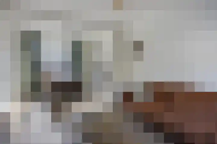Hoogstraat 49 Goirle thumbnail 11