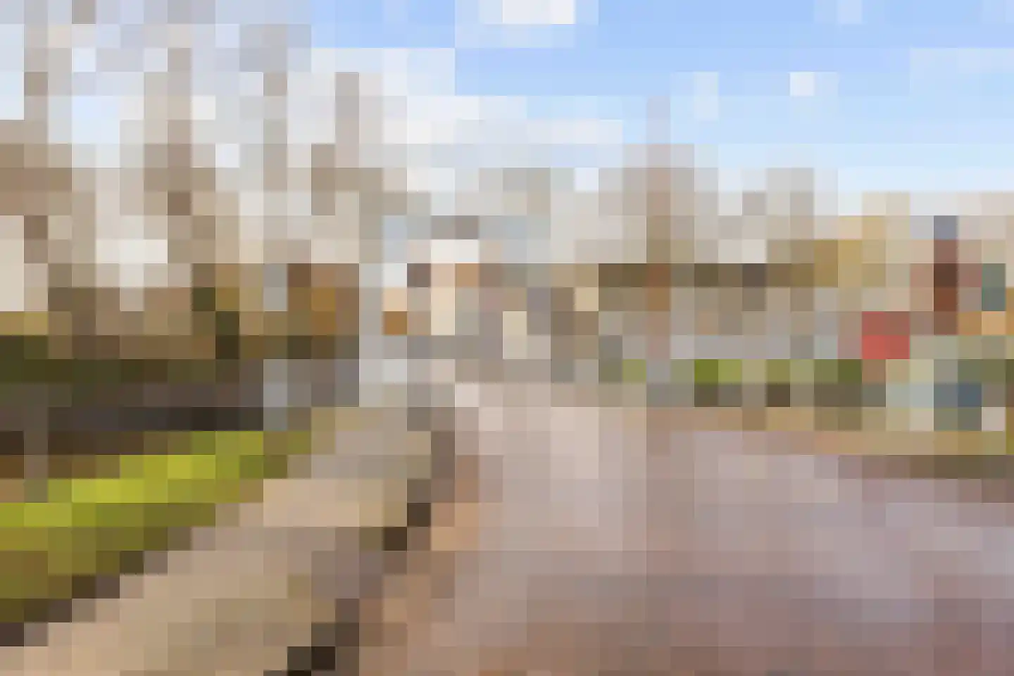 Hoogstraat 53 Harlingen thumbnail 11