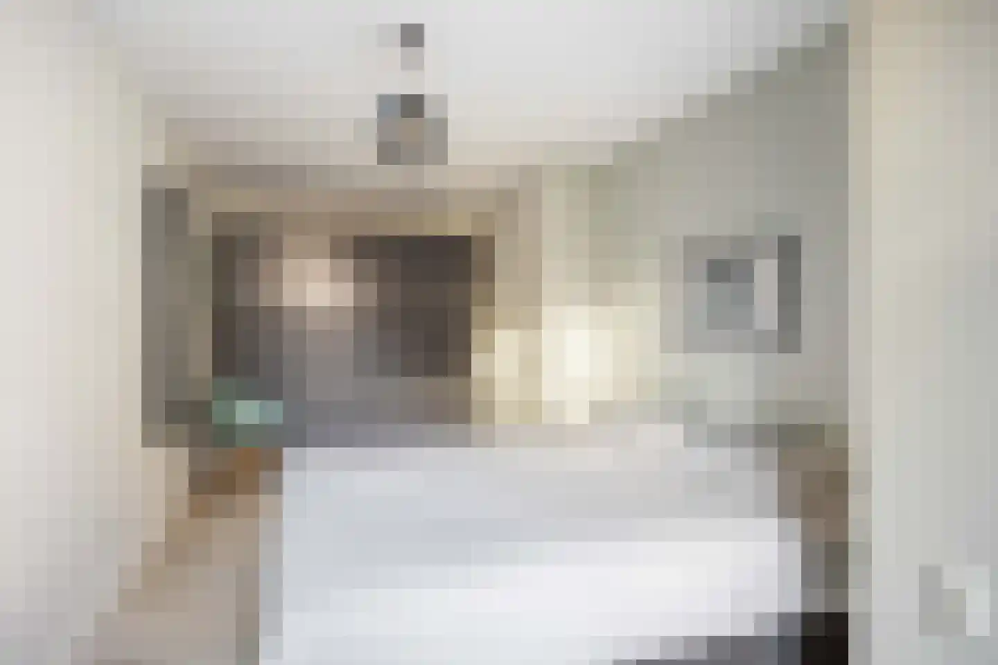 Hoogstraat 53 Harlingen thumbnail 36