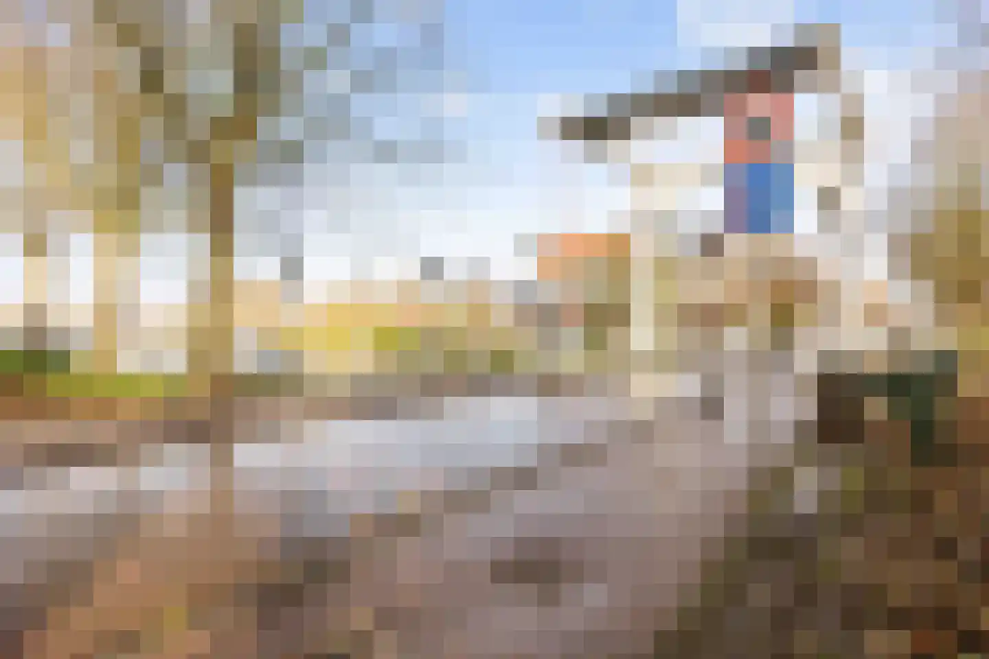 Hoogstraat 53 Harlingen thumbnail 61