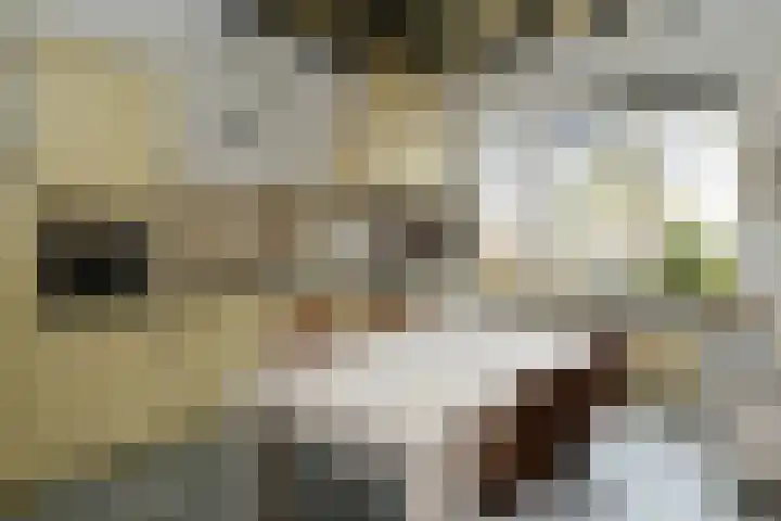 Hoogstraat 55 Ell thumbnail 20