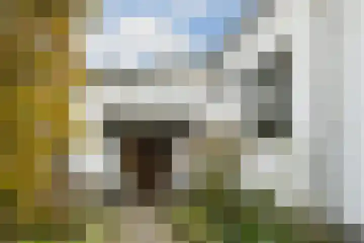 Hoogstraat 55 Ell thumbnail 4