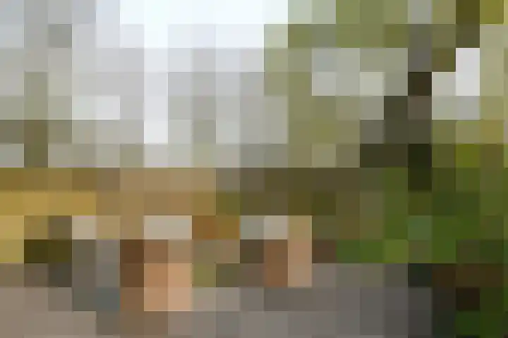 Hoogstraat 55 Ell thumbnail 44