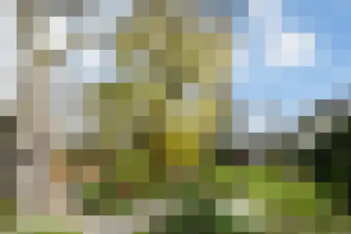 Hoogstraat 55 Ell thumbnail 47