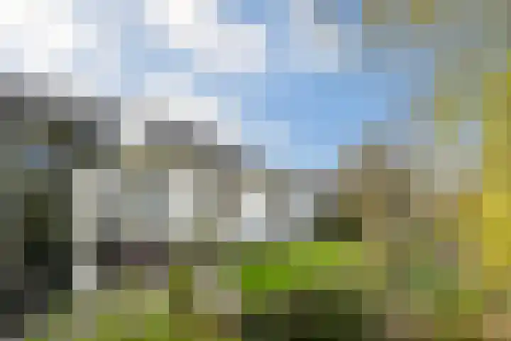 Hoogstraat 55 Ell thumbnail 53