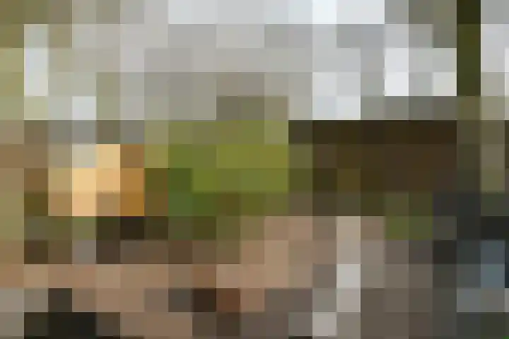 Hoogstraat 55 Ell thumbnail 55