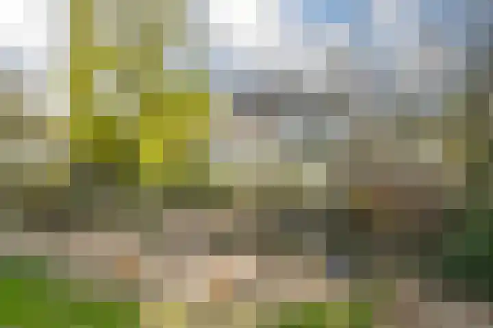 Hoogstraat 55 Ell thumbnail 59
