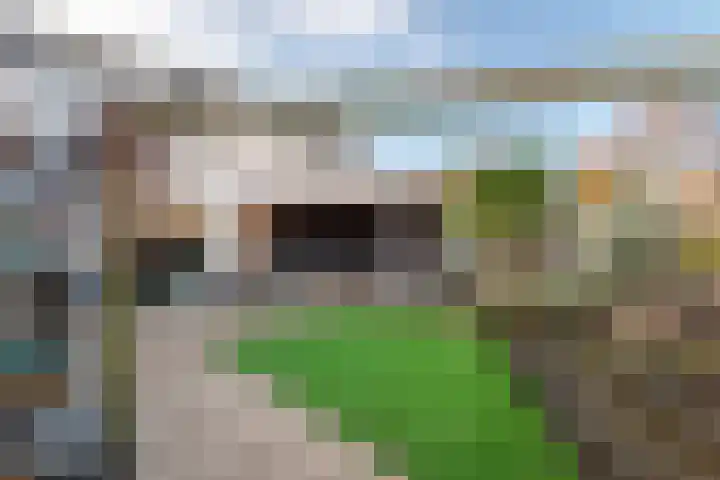 Hoogstraat 8 Beesd thumbnail 4