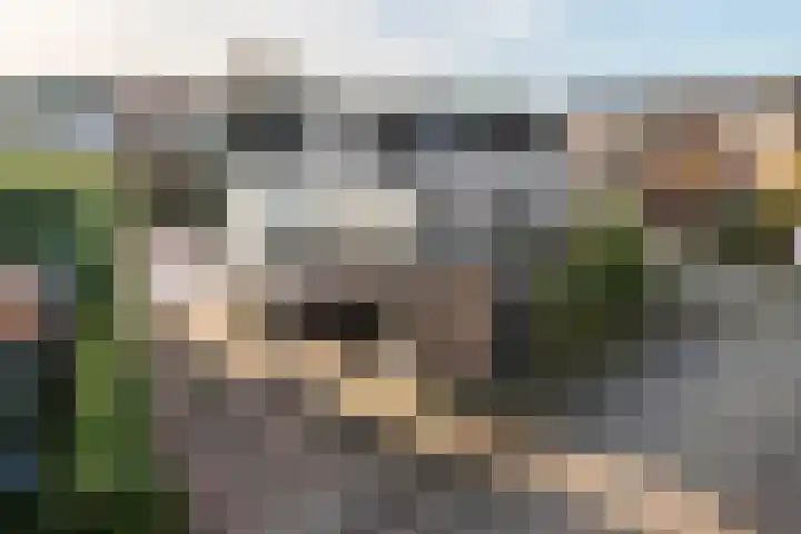 Hoogstraat 8 Beesd thumbnail 58