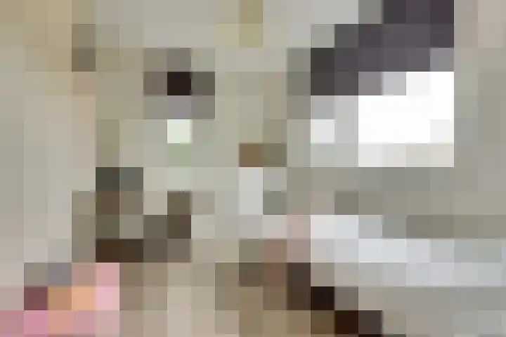 Hoogstraat 8 e Ewijk thumbnail 33