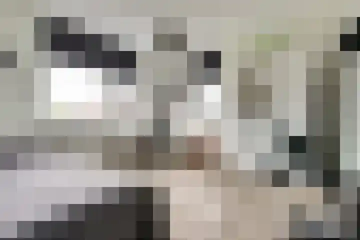 Hoogstraat 8 e Ewijk thumbnail 34