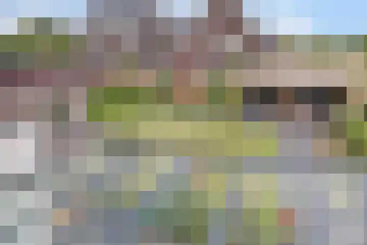 Hoogstraat 8 e Ewijk thumbnail 47