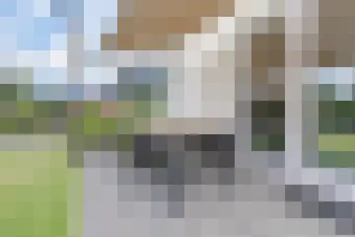 Hoogstraat 8 e Ewijk thumbnail 57