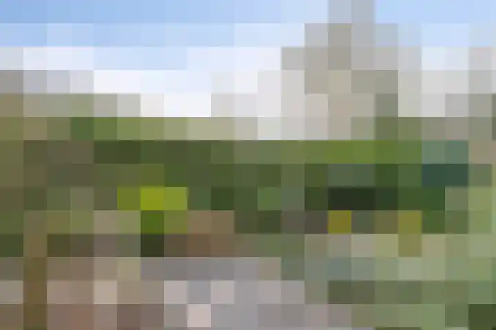 Hoogveld 4 Venray thumbnail 29