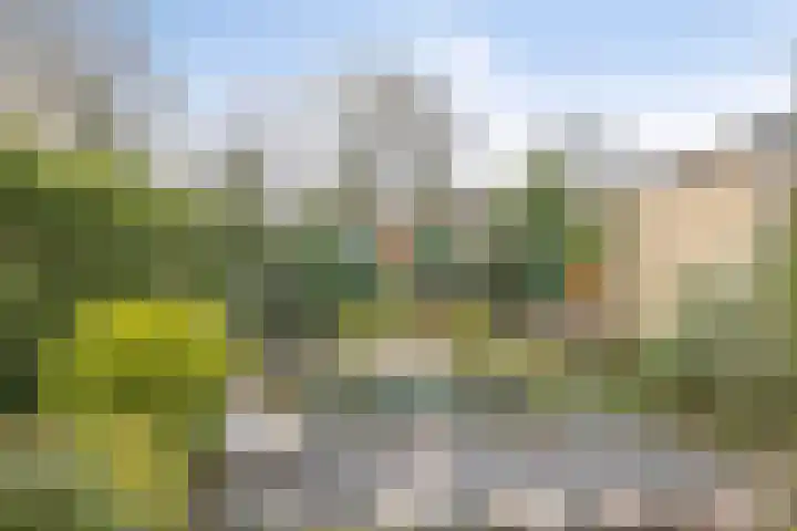Hoogveld 4 Venray thumbnail 30