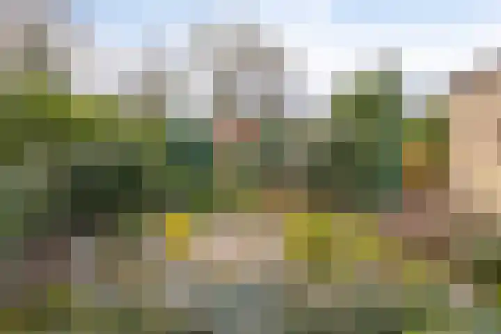 Hoogveld 4 Venray thumbnail 31