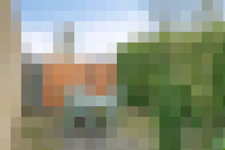Hoogveld 4 Venray thumbnail 35