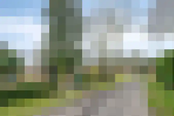 Hoogveld 4 Venray thumbnail 4