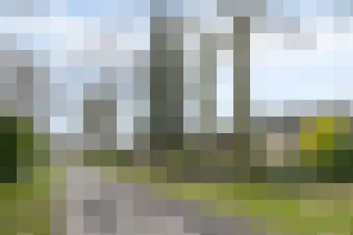 Hoogveld 4 Venray thumbnail 5