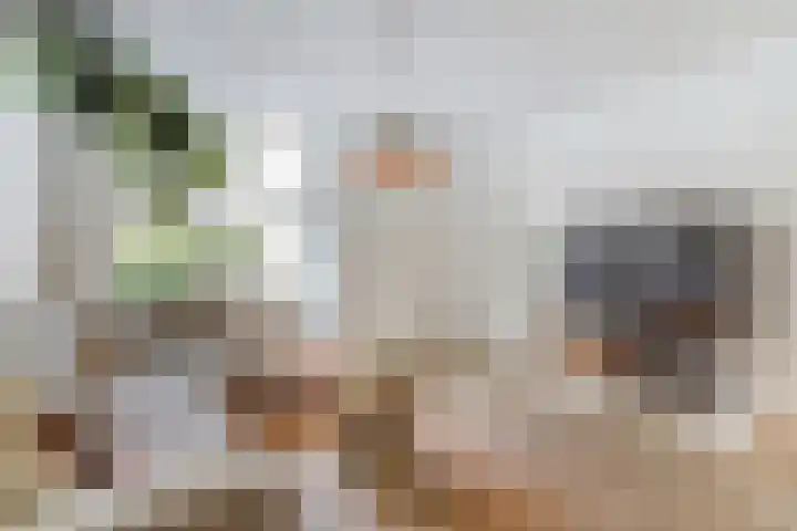 Hooi 6 Eersel thumbnail 10