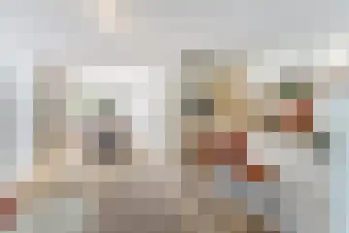Hooi 6 Eersel thumbnail 11