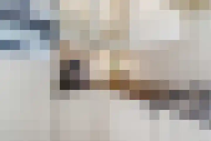 Hooi 6 Eersel thumbnail 17