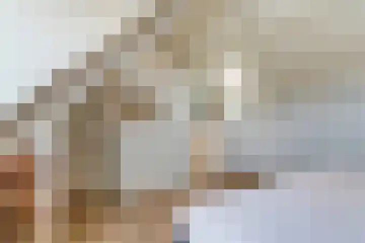 Hooi 6 Eersel thumbnail 35