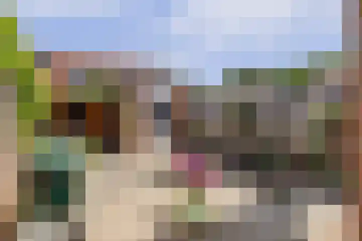 Hooi 6 Eersel thumbnail 36