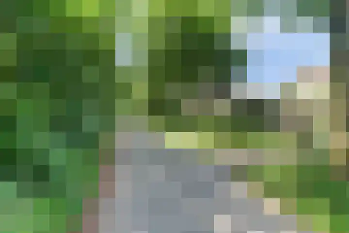 Hooi 6 Eersel thumbnail 47