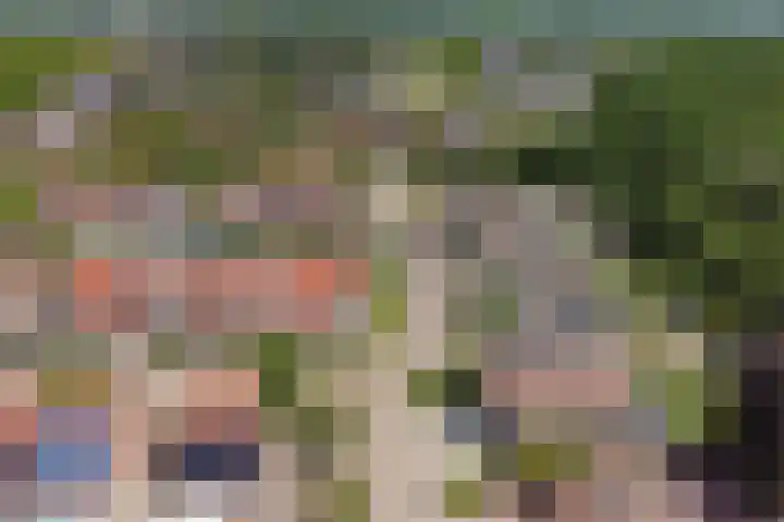 Hooi 6 Eersel thumbnail 5