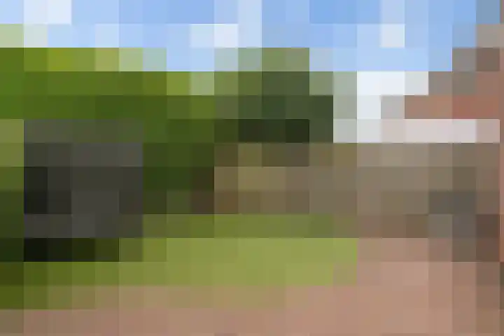 Hooiberg 2 Didam thumbnail 15