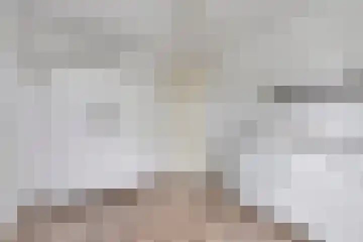 Hooiberg 2 Didam thumbnail 19