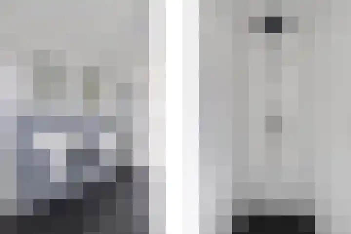 Hooiberg 2 Didam thumbnail 23